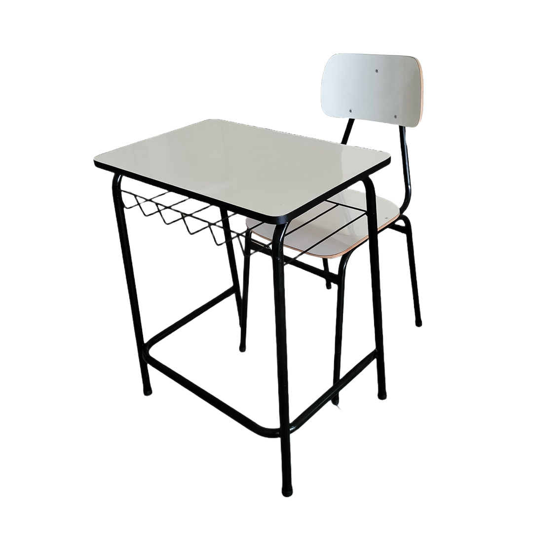 escolar (11)